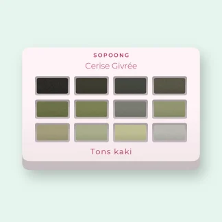 Palette yeux minimaliste Cerise Givrée – Sopoong, 12 × 1 g, teinte Tons kaki
