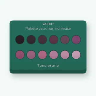 Palette yeux harmonieuse à l'huile d'argan – Sanbit, 4 × 1,2 g, teinte Tons prune